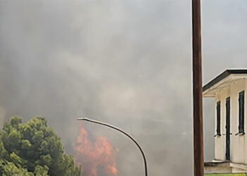 Incendio a Salaparuta, brucia il bosco