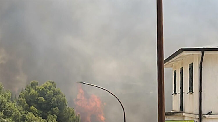 Incendio a Salaparuta, brucia il bosco