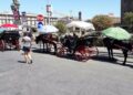 Stop a carrozze trainate dai cavalli, Palermo punta su veicoli elettrici