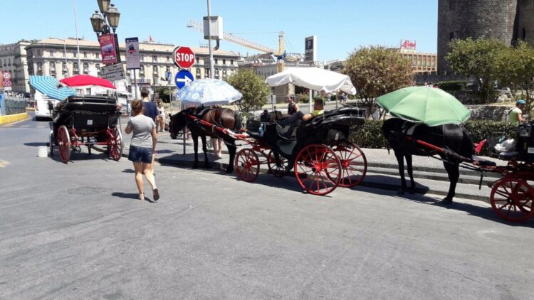 Stop a carrozze trainate dai cavalli, Palermo punta su veicoli elettrici