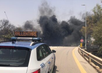 Incendio lungo l’ A19, intervento vigili del fuoco e polstrada