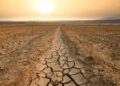 Super El Niño, prezzi del cibo su fino al 2028: la spesa degli italiani rischia un +15,8%