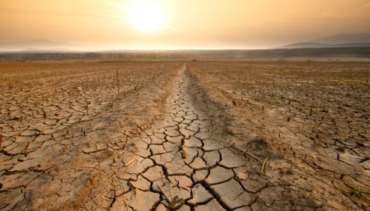 Super El Niño, prezzi del cibo su fino al 2028: la spesa degli italiani rischia un +15,8%