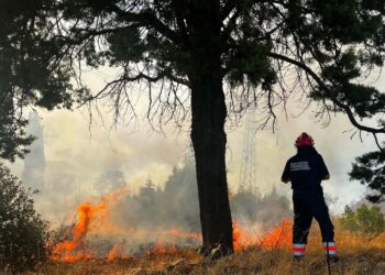 Incendio nel Frusinate, vicino al santuario della Madonna della Guardia