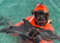 Cucciolo di delfino salvato dalla Capitaneria di Porto nel Palermitano