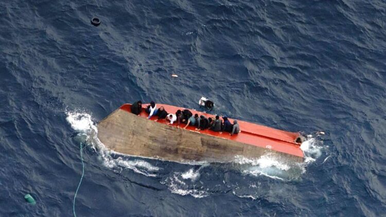 Le ong all’attacco, ‘nauseante parlare di compensazioni’