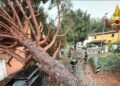 Nubifragi nella provincia di Firenze, alberi caduti e allagamenti
