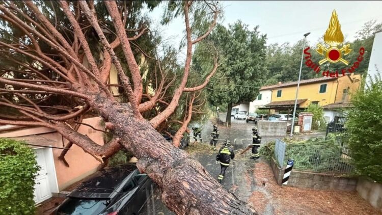 Nubifragi nella provincia di Firenze, alberi caduti e allagamenti