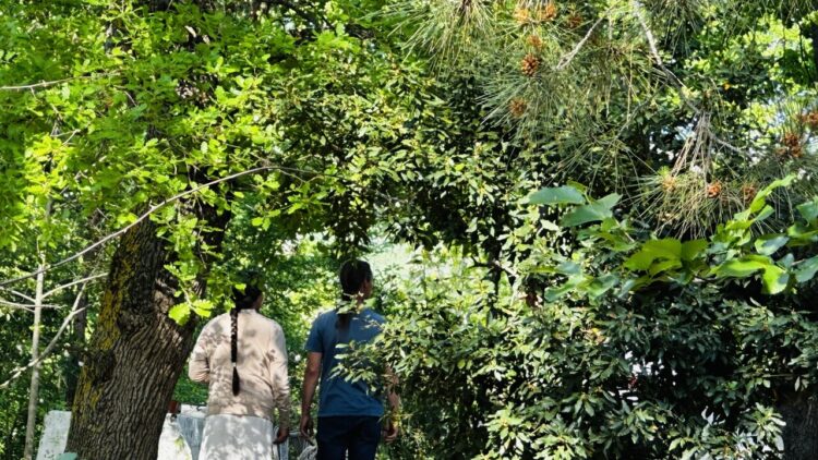 Pillon, i ‘bimbi del bosco’ a Palmoli per poche ore la prossima settimana