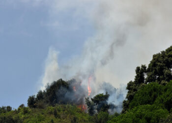 Caldo e vento, decine di incendi in Sicilia