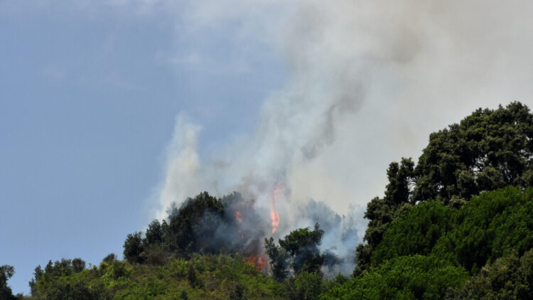 Caldo e vento, decine di incendi in Sicilia