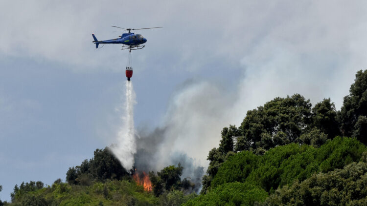 Nuova giornata di incendi in Sicilia tra Trapani e Catania